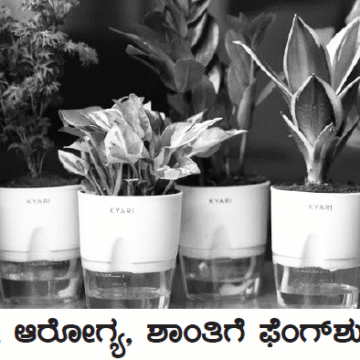 ಸಂಪತ್ತು, ಆರೋಗ್ಯ, ಶಾಂತಿಗೆ ಫೆಂಗ್‌ಶುಯಿ ಬಿದಿ