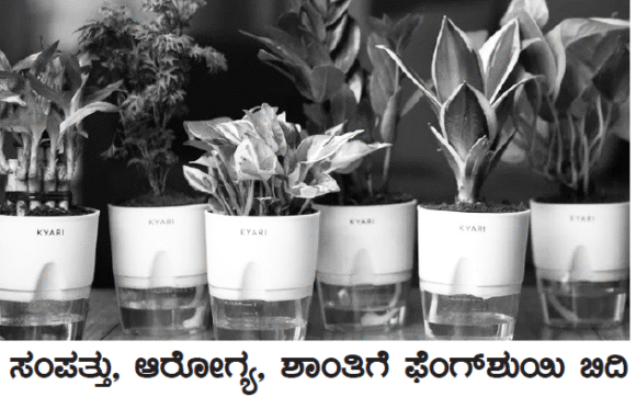 ಸಂಪತ್ತು, ಆರೋಗ್ಯ, ಶಾಂತಿಗೆ ಫೆಂಗ್‌ಶುಯಿ ಬಿದಿ