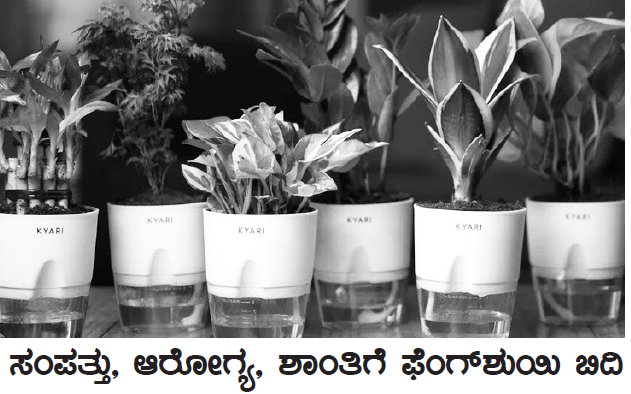 vastu ಸಂಪತ್ತು, ಆರೋಗ್ಯ, ಶಾಂತಿಗೆ ಫೆಂಗ್ಶುಯಿ ಬಿದಿ