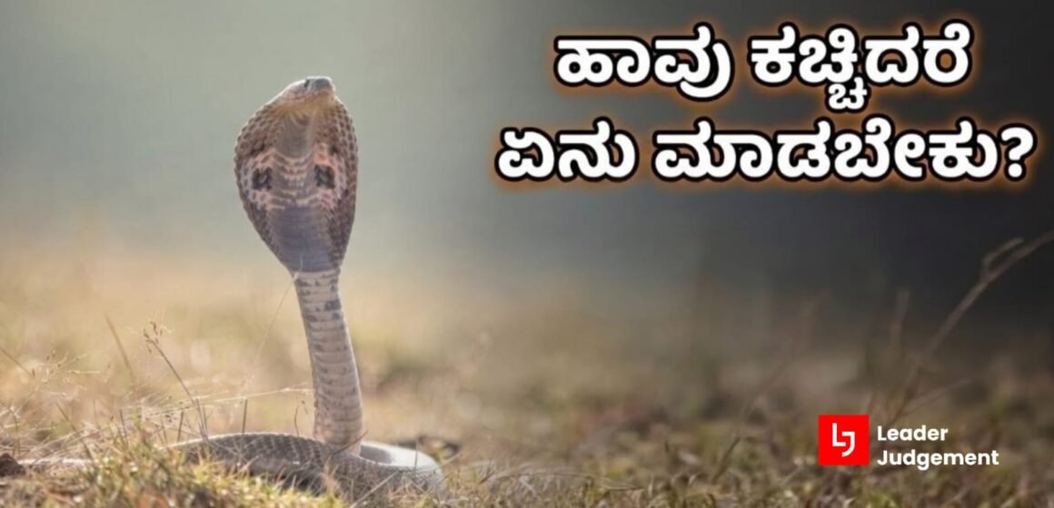 ಹಾವು ಕಚ್ಚಿದರೆ ಏನು ಮಾಡಬೇಕು?