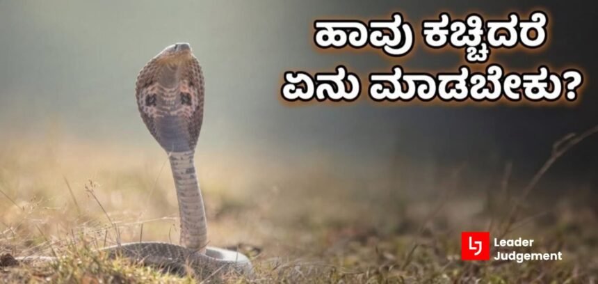 ಹಾವು ಕಚ್ಚಿದರೆ ಏನು ಮಾಡಬೇಕು? ಹಾವು ಕಚ್ಚಿದರೆ ಏನು ಮಾಡಬೇಕು?