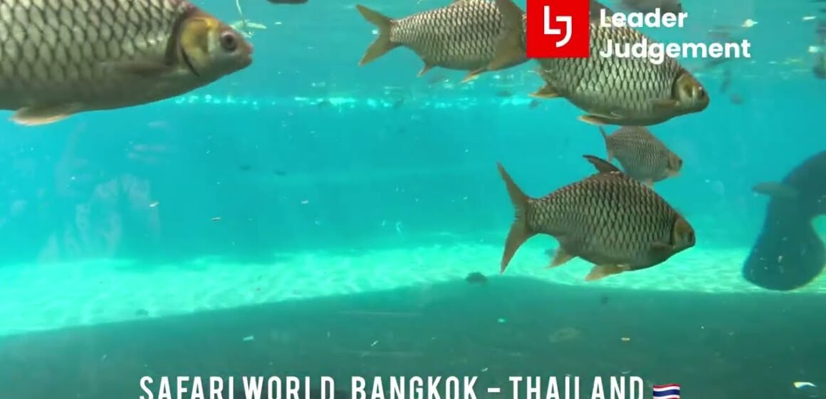 Safari World Bangkok Thailand
