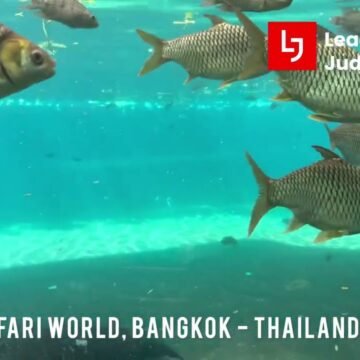 Safari World Bangkok Thailand