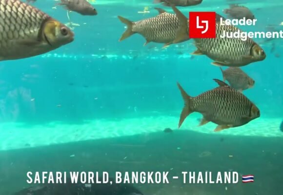 Safari World Bangkok Thailand