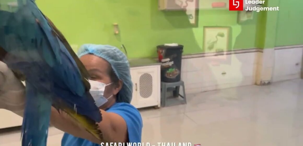 Safari World Bangkok Eggs World Tou
