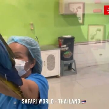 Safari World Bangkok Eggs World Tou