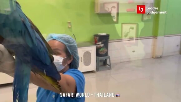 Safari World Bangkok Eggs World Tou