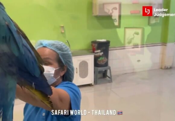 Safari World Bangkok Eggs World Tou