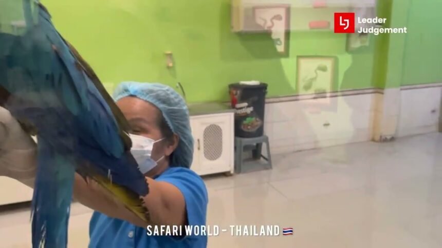 Safari World Bangkok Eggs World Tou Safari World Bangkok Eggs World Tou
